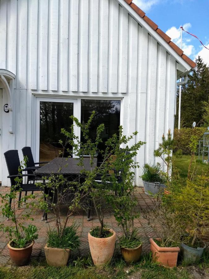 Vila Abildskovhus Feriebolig Funder Kirkeby Exteriér fotografie